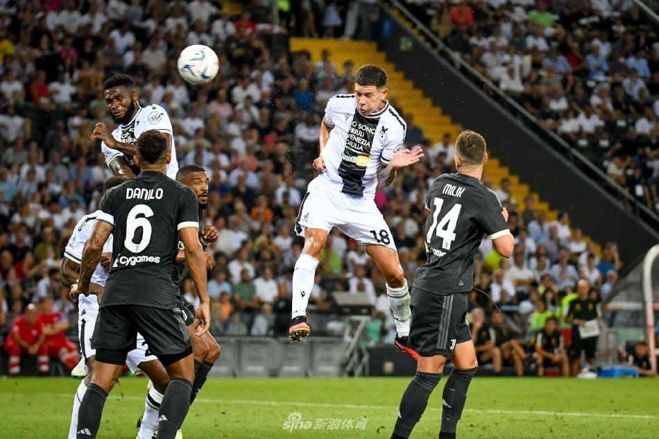 的多元化和 的多元化和