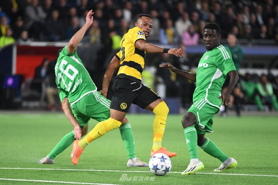 不仅促进了 不仅促进了